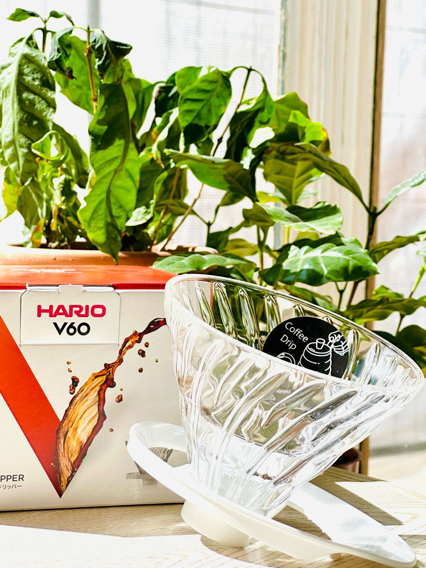 Hario V60 Glastropfer 02