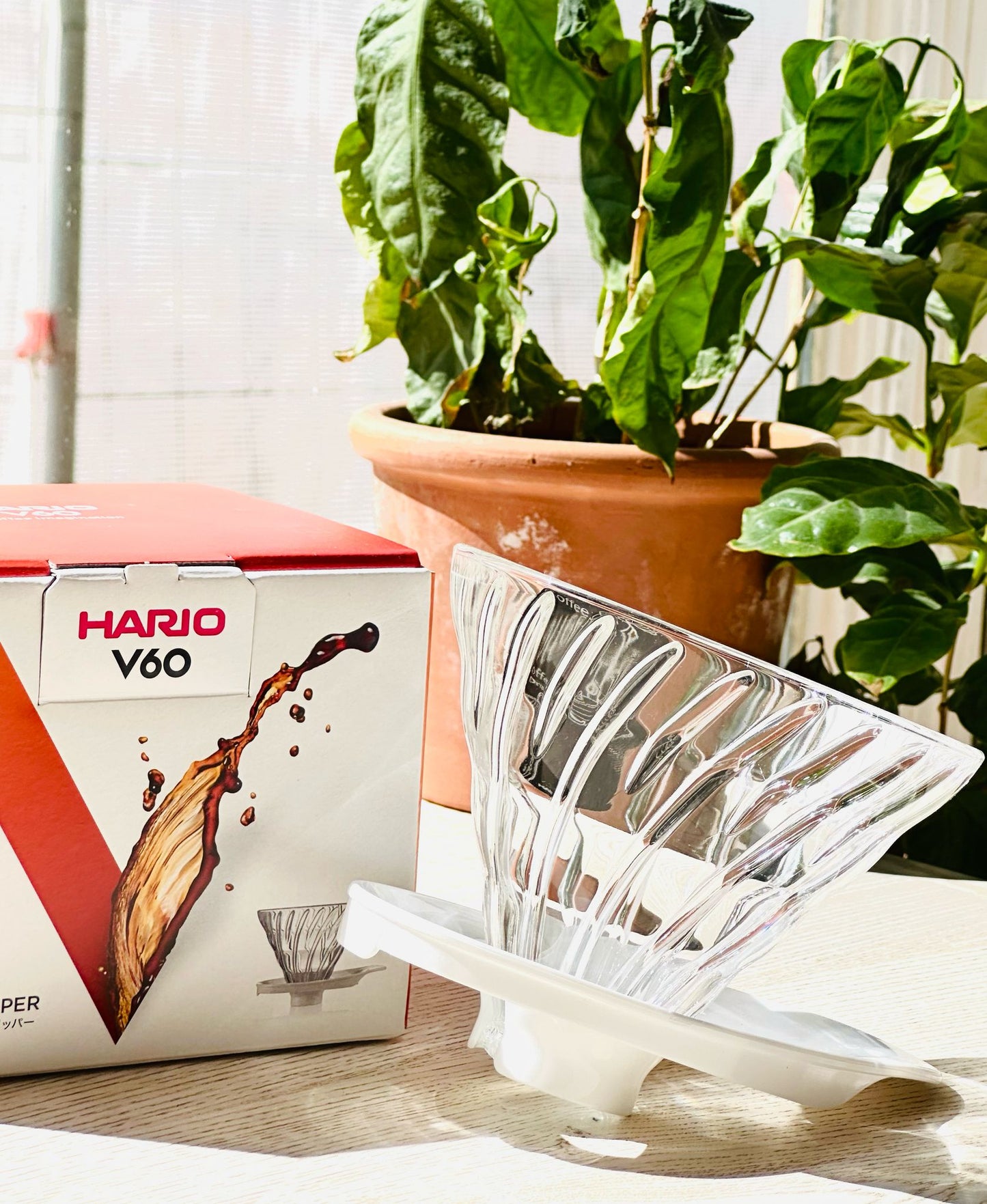Hario V60 Glastropfer 02 